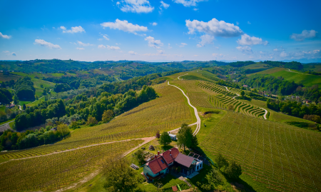 Holiday House Podhamer Marijan with 360° view, private wellness and own wine cellar