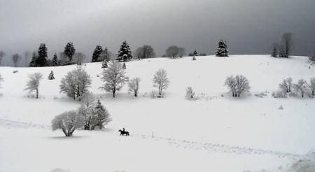 Restaurant Baslerhof Restaurant Baslerhof