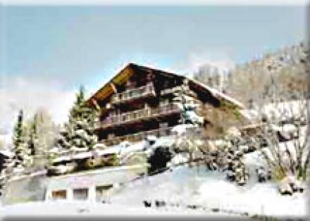 hotell Haus Rhodania_winter hotell Haus Rhodania_winter