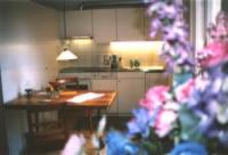 Apartamento para vacaciones Apparthotel Krone_winter Apartamento para vacaciones Apparthotel Krone_winter