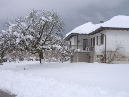Bauernhof Bauernhof