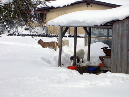 PICT1550.jpg