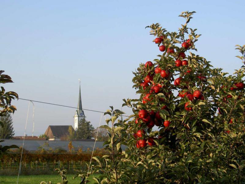 pict323711.jpg