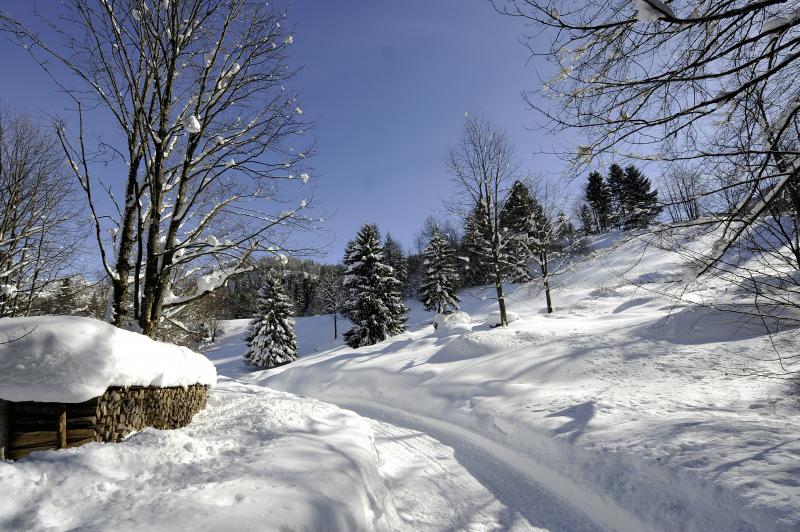 Winterwandern.jpg