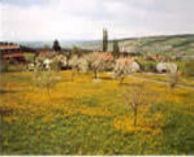 Bauernhof Amt Sursee